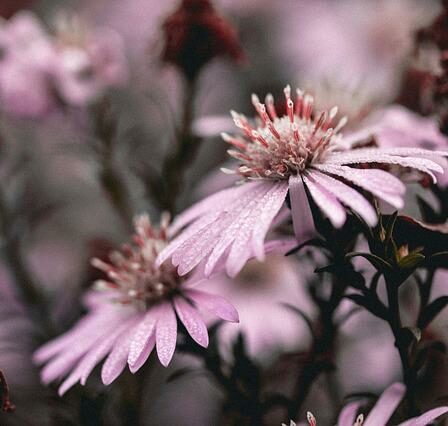 Sandheden om havearbejde - 3 ting du endnu ikke kendte