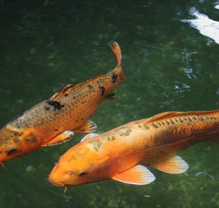 6 mest urolige ting ved hårkure. Hvilket nummer er din yndlings?