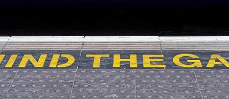 En guide til forskellen mellem en hamster og en kanin